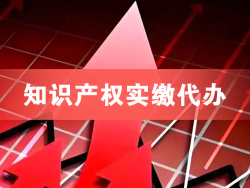 新余知识产权实缴资本代办